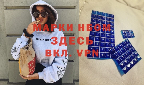соль ск Инсар